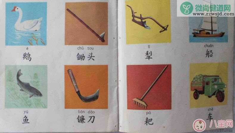 4-6个月早教玩具有哪些 早教玩具益智玩具