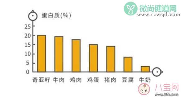 奇亚籽为什么这么火 奇亚籽的功效与作用(奇亚籽副作用)