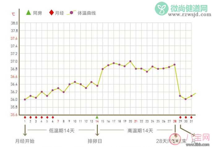 女性备孕基础体温贴孕律怎么样 孕律测评