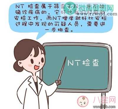 nt检查是什么检查项目nt检查怎么看 nt检查结果异常怎么办