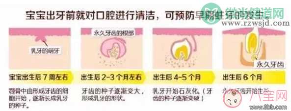 MAM洗牙兔子怎么样 MAM洗牙兔子宝宝试用效果测评