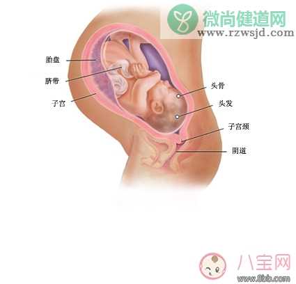 羊水过多怎么办 羊水过多该怎么处理