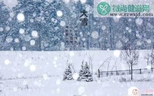 大雪节气出生的人命好不好 大雪出生的人有什么征兆