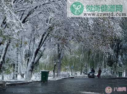 第一次看到下雪了发什么说说