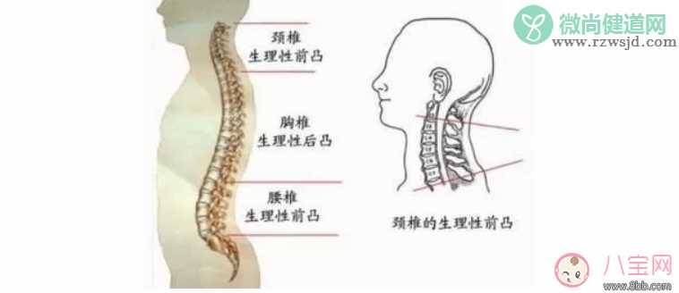 怎么选购会走路的宝宝枕头   如何选择实用的宝宝枕头