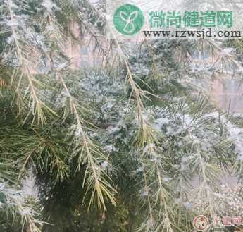 2018年第一次下雪说说朋友圈 2018下雪发什么朋友圈配什么图片好