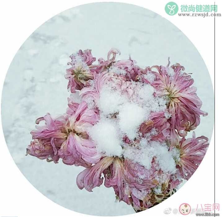 2018年第一次下雪说说朋友圈 2018下雪发什么朋友圈配什么图片好