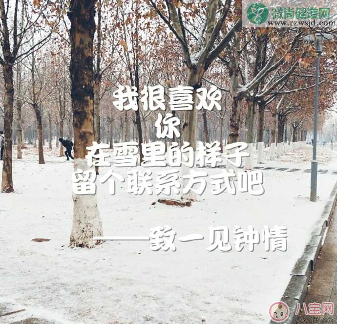 2018年第一次下雪说说朋友圈 2018下雪发什么朋友圈配什么图片好