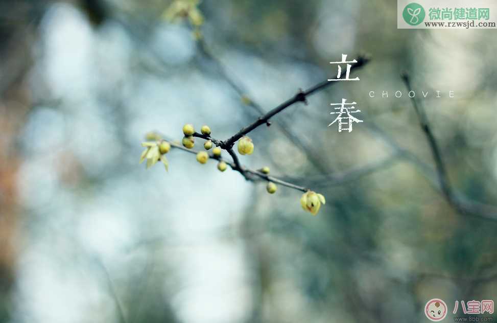 2018今日立春配图句子说说朋友圈   今日立春节气心情说说短语