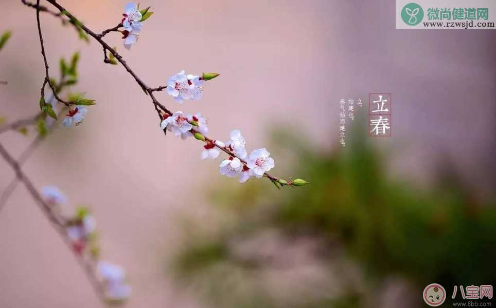 2018今日立春配图句子说说朋友圈   今日立春节气心情说说短语