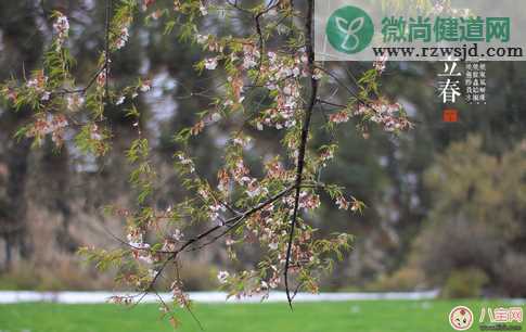 2018今日立春带图素材说说朋友圈    今天立春带字图片说说朋友圈