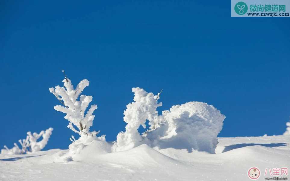 形容第一次看见雪的心情句子   第一次见到雪心情短语说说朋友圈