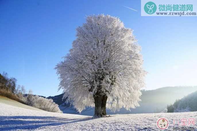 2018今日立春发什么说说朋友