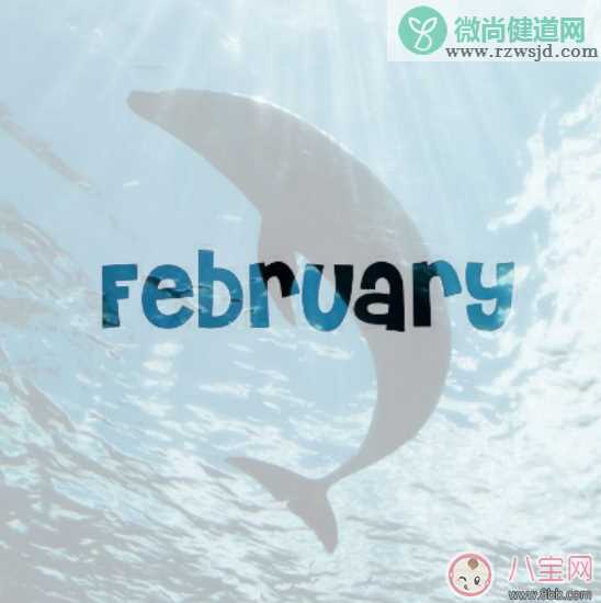 2月你好1月再见的带图句子说说 2月你好1月再见的配图短语朋友圈说说