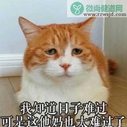 孕吐的说说朋友圈 形容孕吐难受的说说