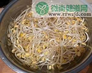 黄豆芽炒肉丝的热菜家常菜