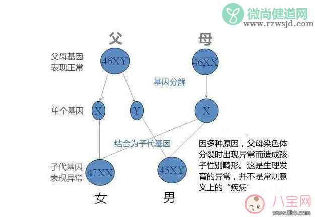 新生儿长大后自己决定性别 双性婴儿双性人真的存在