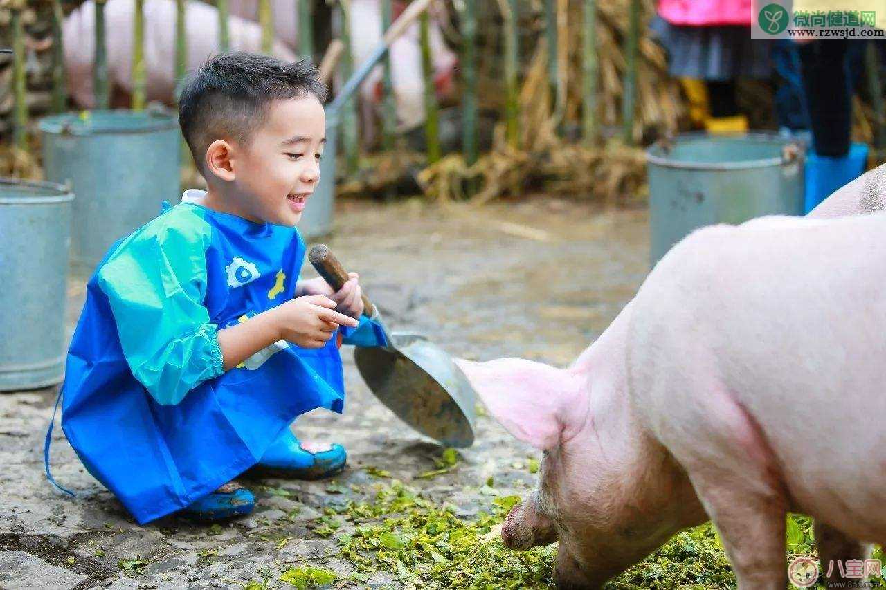 Jasper一年学费是多少  学费一年10w多的幼儿园到底好在哪儿