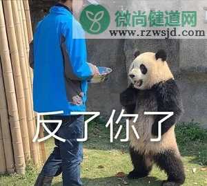 减肥人士也可以吃的无油烤箱炸鸡排