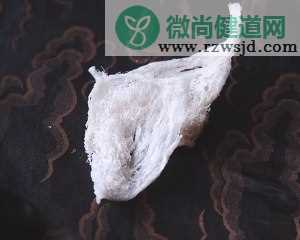 小美.80度精准控温.炖燕窝的