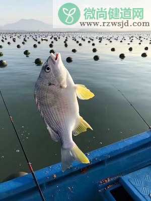 超下饭的健康菜——白萝卜炖