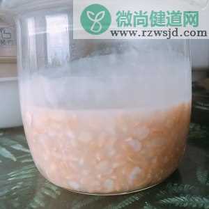 减脂代餐万能炖燕麦米｜拌尽一切甜品饮料