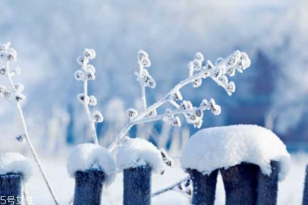 冬天适合去哪里旅游 滑雪温泉一个都不能少