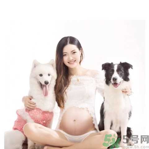 孕妇可以养狗吗？养狗对孕妇有影响吗？