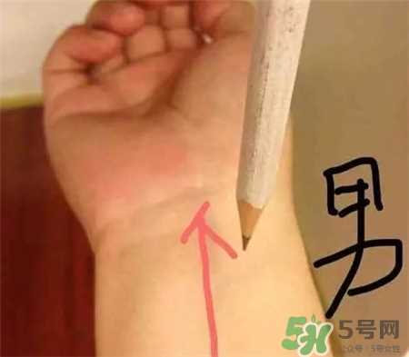 用铅笔怎么测胎儿性别?用铅笔和针测男女性别准吗?