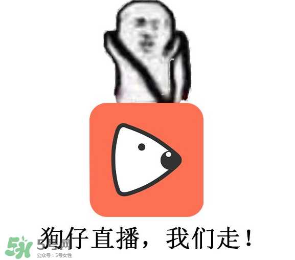 黄鳝为什么火了？黄鳝我们走为什么火了？