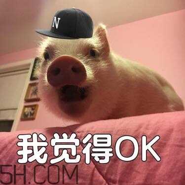 ojbk是什么意思？ojbk表情包