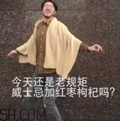 养生朋克什么意思？怎么做一个