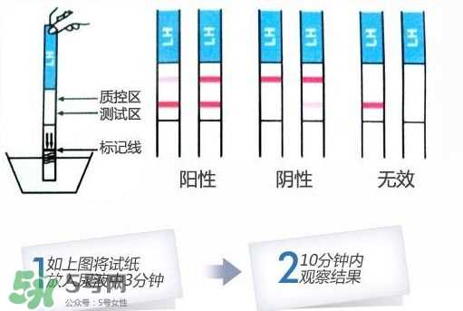 早孕试纸什么时候测最准？早孕试纸什么时候可以测出来