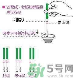 怎么测是否怀孕？早孕试纸怎么用？