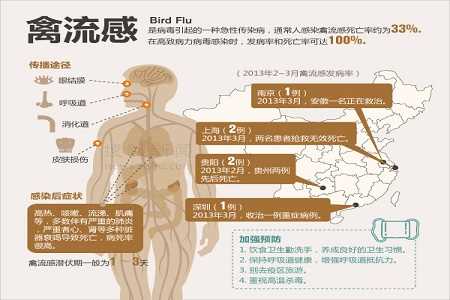 禽流感病例