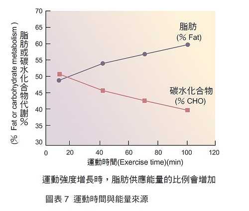 运动前喝咖啡好吗 如何游泳可以减肥