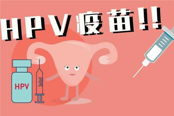 hpv疫苗是宫颈癌疫苗吗 hpv