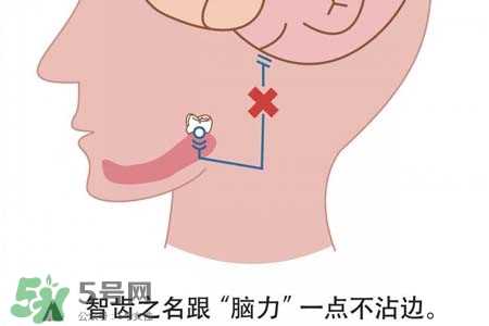 智齿会引起耳鸣吗？耳鸣跟智齿