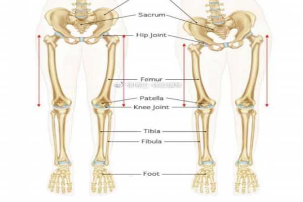 长短腿怎么矫正 长短腿的危害