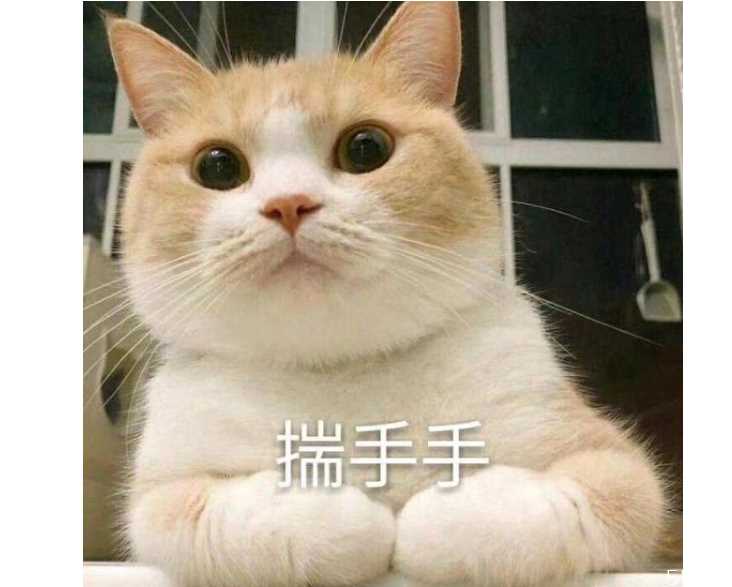 猫咪冬天怎么保暖 猫咪怕冷的表现