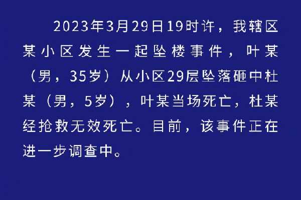 男童被坠楼者砸死事发时正随