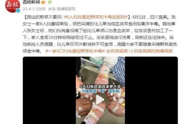 一家六口扫墓后误采毒草食用中毒 扫墓带几种水果和