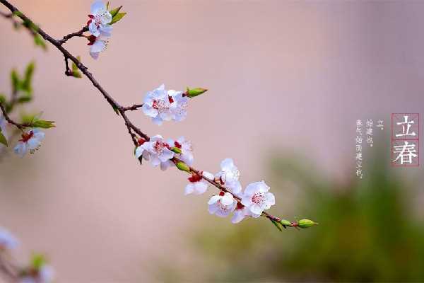 农历二月生的今年能过3次生日 2023为什么有闰二月