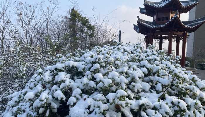 雪不是透明的嘛 雪是白色的还是透明的