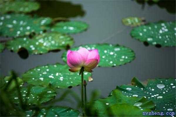 2019梅雨季节是什么时候 梅雨季节是什么