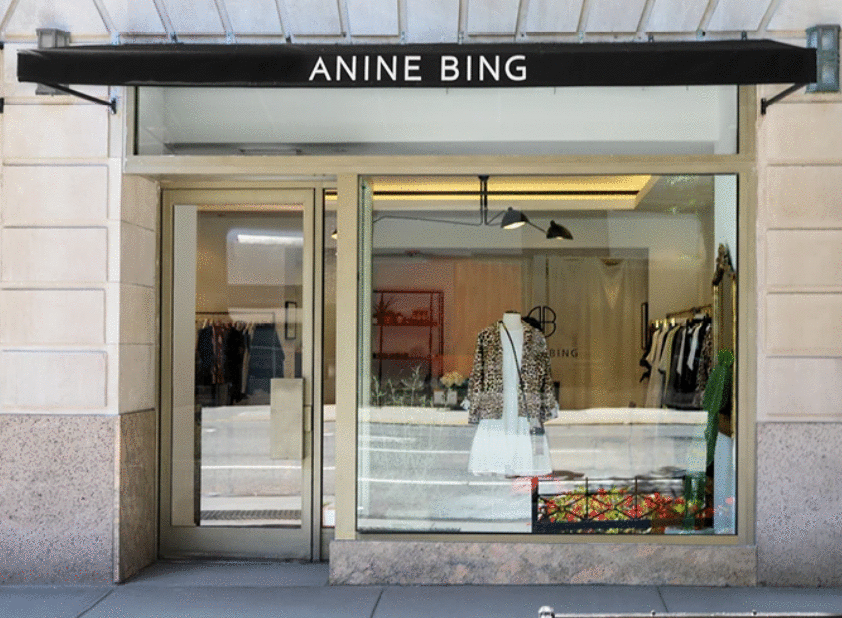 ANINE BING品牌介绍