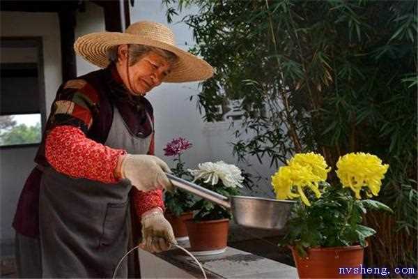 烟灰水可以浇花吗 烟灰水可以浇花去虫