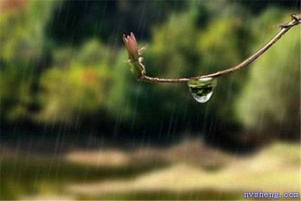 梅雨季节怎么防潮 梅雨季节防潮的方法