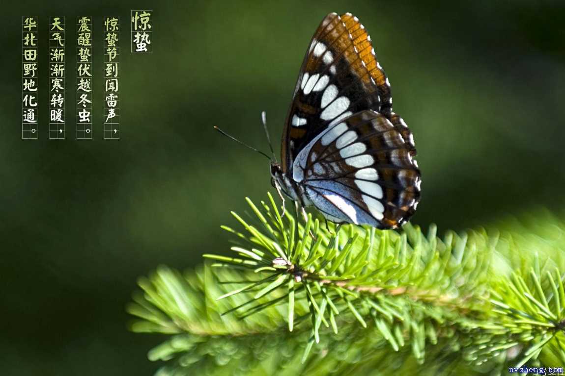 惊蛰时节吃什么 惊蛰节气吃什么食物