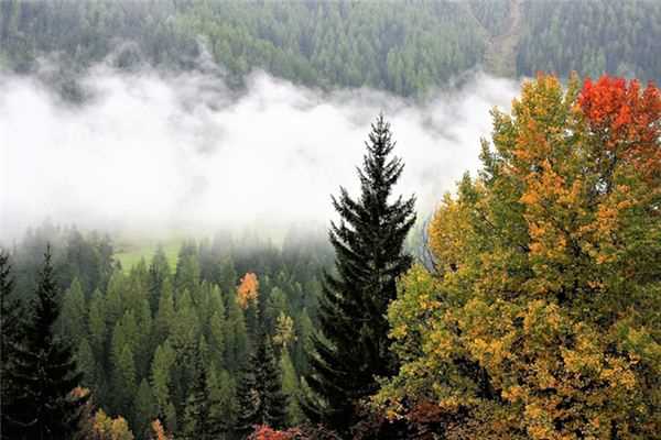 梦见山上下雨